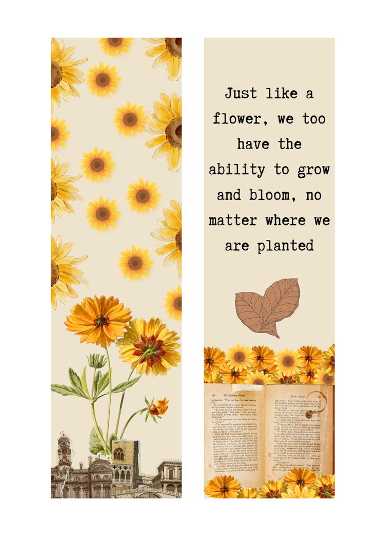 Premium Book Marks